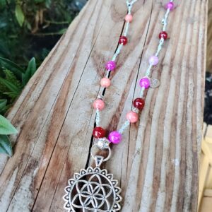 collar ernesta xl (copia)